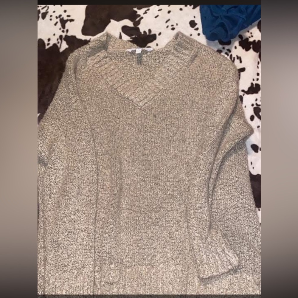 Time and Tru Women's Tan V-Neck Sweater